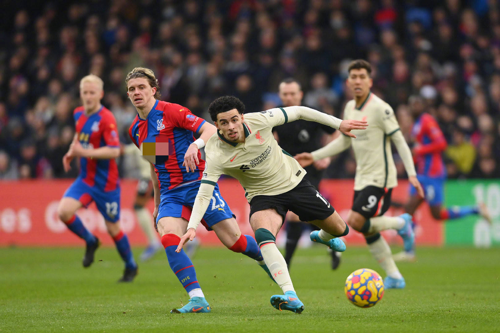 的亲密关系 的亲密关系